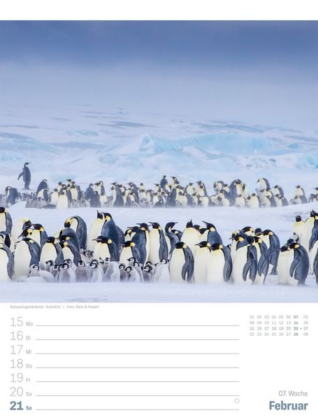 Produktbild: Planet Erde Wochenplaner Kalender 2027 | Landschaften der Welt