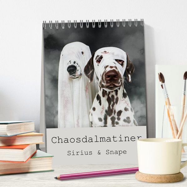 Produktbild: Chaosdalmatiner Sirius und Snape (Tischkalender 2026 DIN A5 hoch), CALVENDO Monatskalender