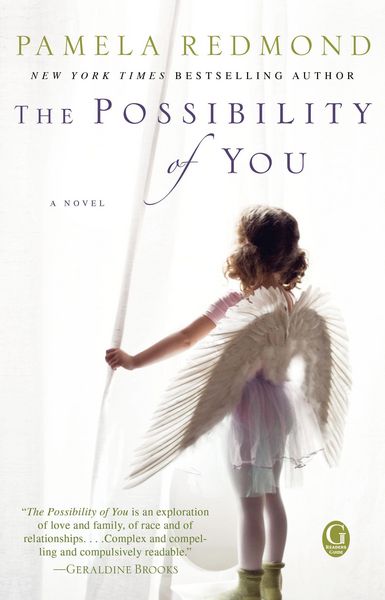 Produktbild: The Possibility of You
