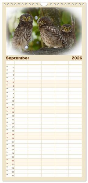 Produktbild: Familienplaner 2026 - Faszination Steinkauz mit 5 Spalten (Wandkalender, 21 x 45 cm) CALVENDO