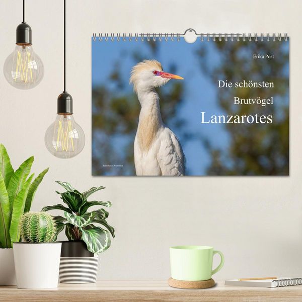 Produktbild: Die sch&ouml;nsten Brutv&ouml;gel Lanzarotes (Wandkalender 2027 DIN A4 quer), CALVENDO Monatskalender