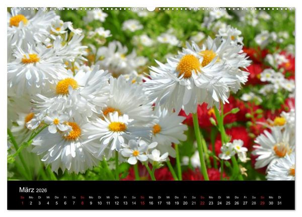 Produktbild: Die vier Jahreszeiten (hochwertiger Premium Wandkalender 2026 DIN A2 quer), Kunstdruck in Hochglanz
