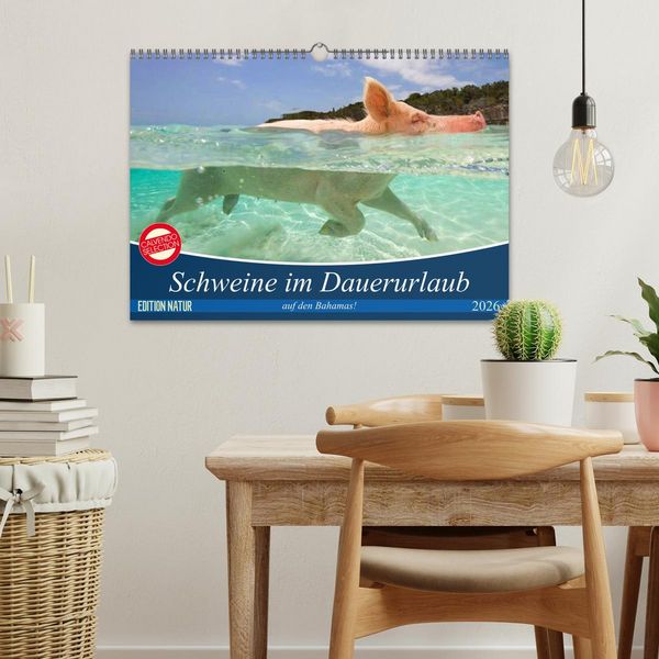 Produktbild: Schweine im Dauerurlaub auf den Bahamas! (Wandkalender 2026 DIN A3 quer), CALVENDO Monatskalender