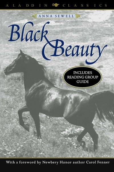 Produktbild: Black Beauty
