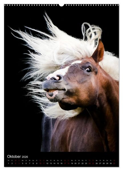 Produktbild: Schwarzw&auml;lder F&uuml;chse von Julia Hahn Photography (hochwertiger Premium Wandkalender 2026 DIN A2 hoch), Kunstdruck in Hochglanz