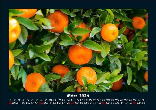 Produktbild: Obstkalender 2026 Fotokalender DIN A5