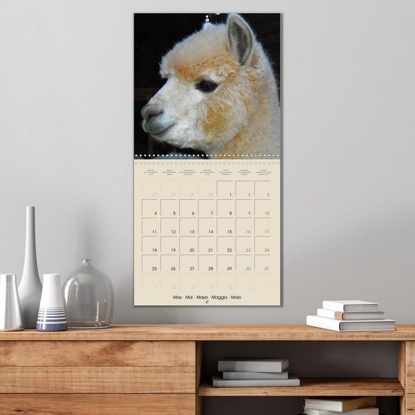 Produktbild: Alpacas & Llamas (Wall Calendar 2026 12 &times; 12 Inch) CALVENDO 12 Month Wall Calendar