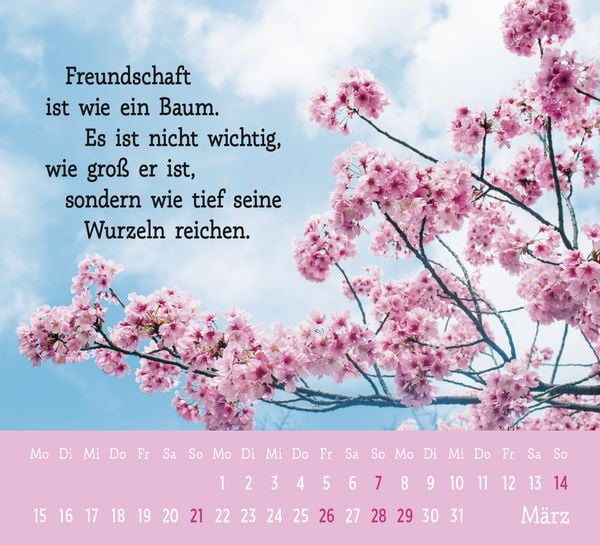 Produktbild: Mini-Kalender 2027: Der kleine Freundschaftskalender