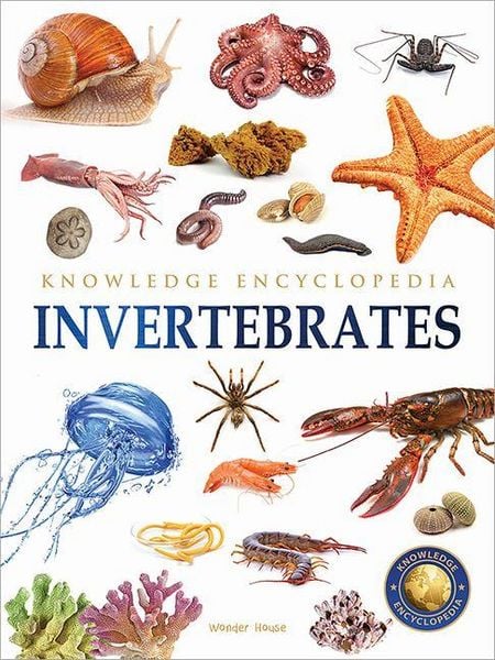 Produktbild: Animals: Invertebrates