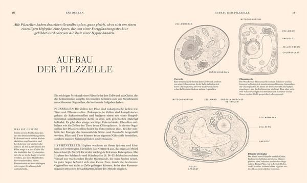 Produktbild: Pilze