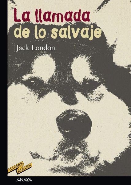 Produktbild: La llamada de lo salvaje
