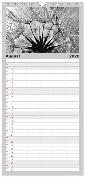 Produktbild: Familienplaner 2026 - Pusteblume - Impressionen in schwarzwei&szlig; mit 5 Spalten (Wandkalender, 21 x 45 cm) CALVENDO