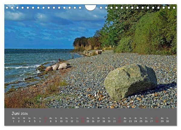 Produktbild: R&uuml;gen &ndash; Insel der Superlative (Wandkalender 2026 DIN A4 quer), CALVENDO Monatskalender