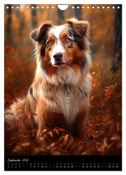 Produktbild: Australian Shepherd (Wandkalender 2026 DIN A4 hoch), CALVENDO Monatskalender