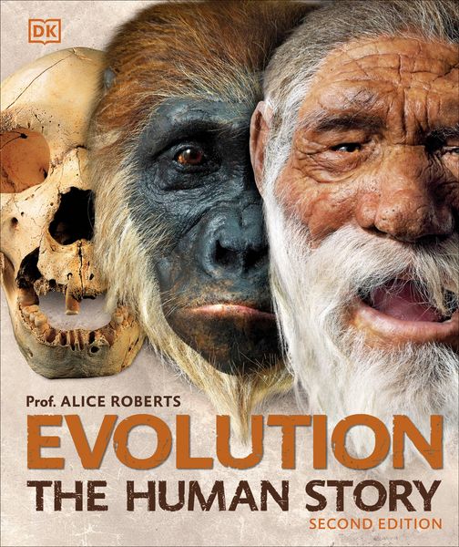 Produktbild: Evolution