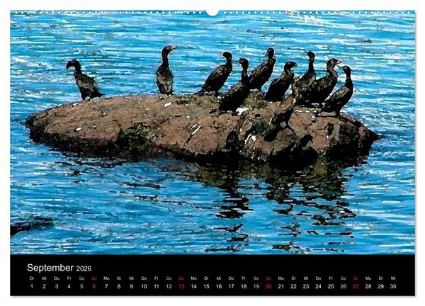 Produktbild: Neufundland entdecken (hochwertiger Premium Wandkalender 2026 DIN A2 quer), Kunstdruck in Hochglanz