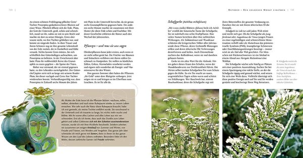 Produktbild: Pflanzeng&ouml;ttinnen und ihre Heilkr&auml;uter