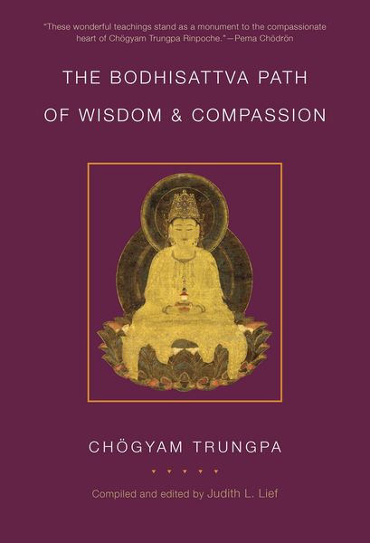 Produktbild: The Bodhisattva Path of Wisdom and Compassion (volume 2)