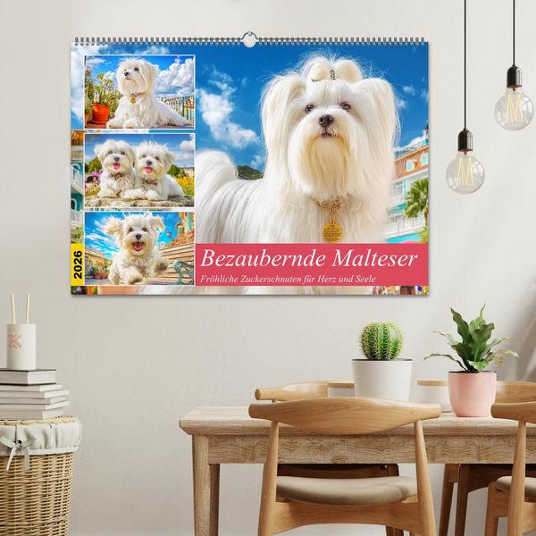 Produktbild: Bezaubernde Malteser. Fr&ouml;hliche Zuckerschnuten f&uuml;r Herz und Seele (Wandkalender 2026 DIN A2 quer), CALVENDO Monatskalender