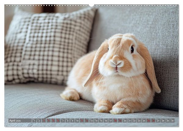 Produktbild: A Cuddly Rabbit Life (Wall Calendar 2026 DIN A2 landscape), CALVENDO 12 Month Wall Calendar