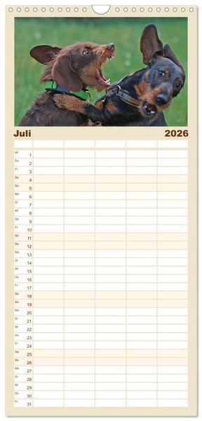 Produktbild: Familienplaner 2026 - Der Dackel mit 5 Spalten (Wandkalender, 21 x 45 cm) CALVENDO