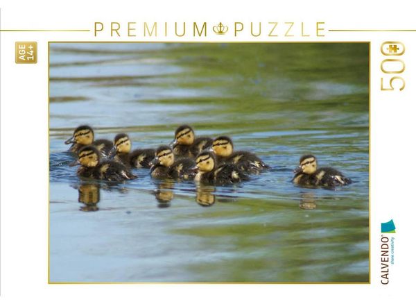 CALVENDO Puzzle Stockenten Küken | 500 Teile Lege-Größe 48 × 36 cm Foto-Puzzle für Erwachsene