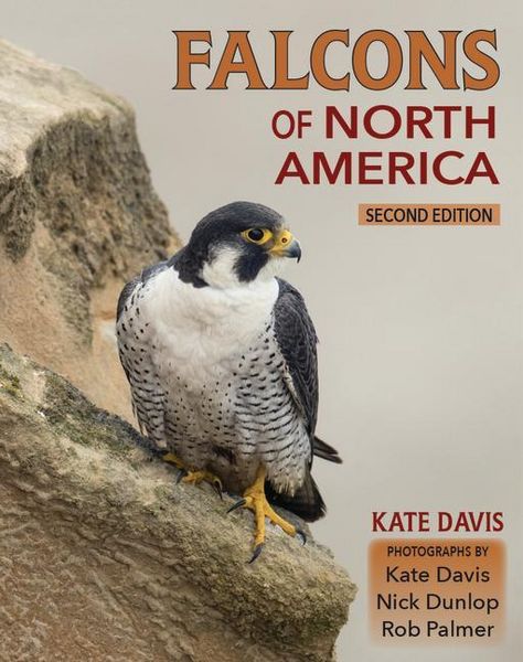Produktbild: Falcons of North America