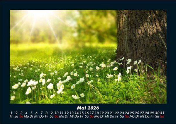 Produktbild: Blumenzauber 2026 Fotokalender DIN A5