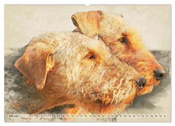 Produktbild: Airedale Terrier 2026 (hochwertiger Premium Wandkalender 2026 DIN A2 quer), Kunstdruck in Hochglanz