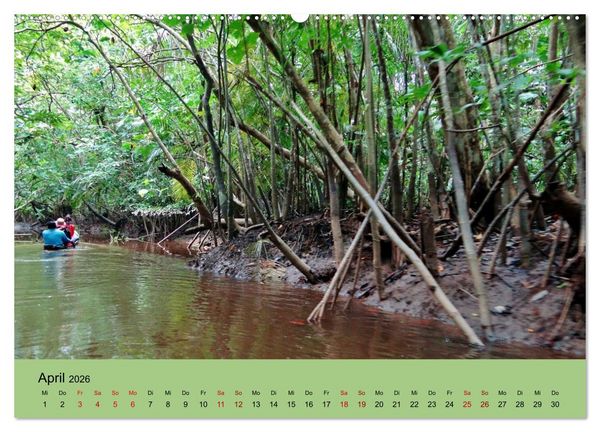 Produktbild: Venezuela - Natur pur Orinoco Delta und die Anden (hochwertiger Premium Wandkalender 2026 DIN A2 quer), Kunstdruck in Hochglanz