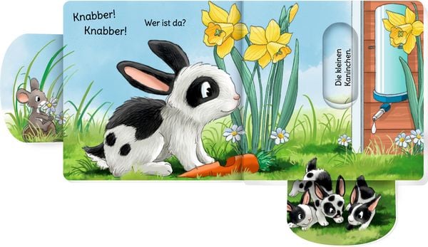 Produktbild: minifanten 47: Quak! Quak! Wer ist da?