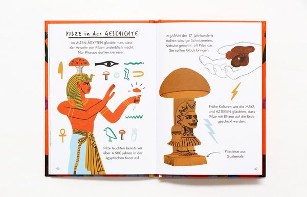 Produktbild: Hallo Pilze