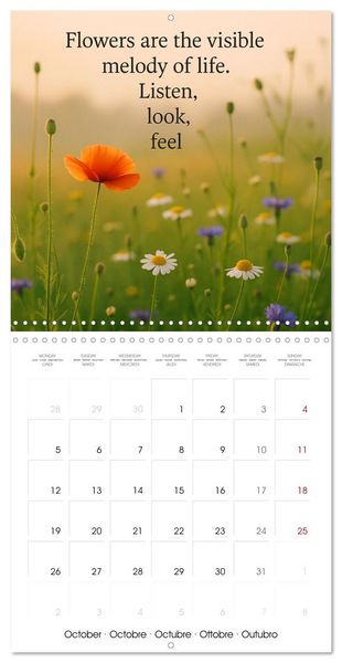 Produktbild: Let the moment guide you (Wall Calendar 2026 12 &times; 12 Inch) CALVENDO 12 Month Wall Calendar
