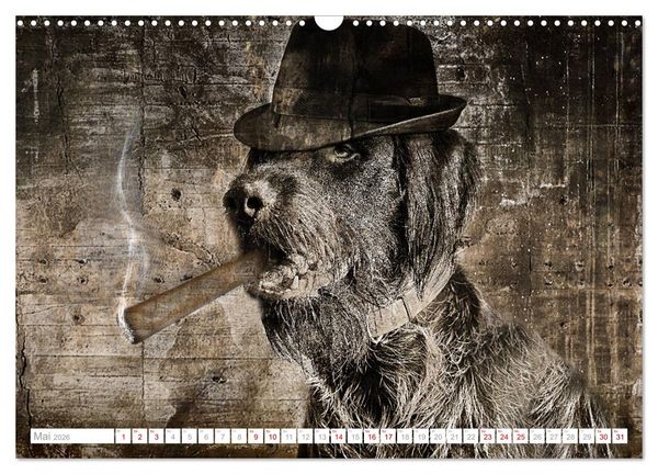 Produktbild: Hund tr&auml;gt Hut (Wandkalender 2026 DIN A3 quer), CALVENDO Monatskalender