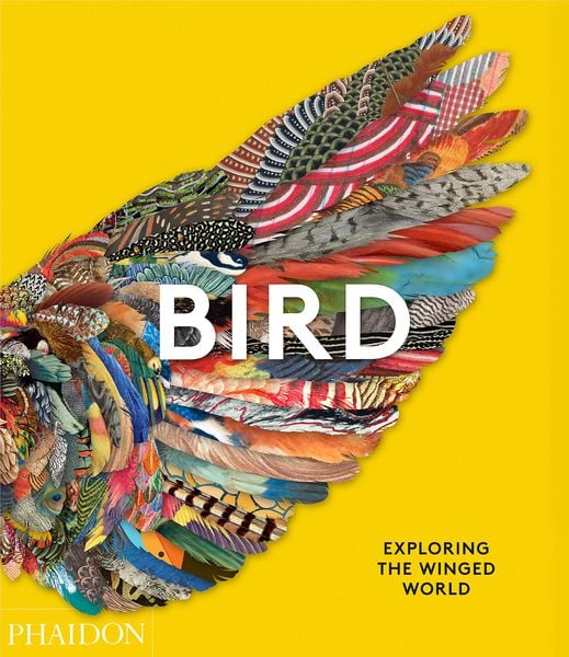 Produktbild: Bird: Exploring the Winged World