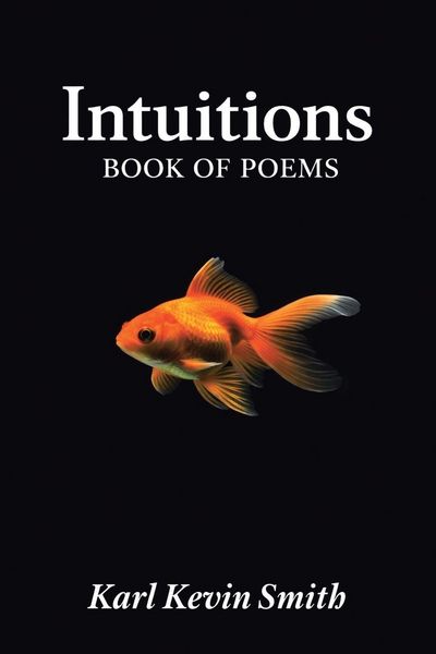 Produktbild: Intuitions