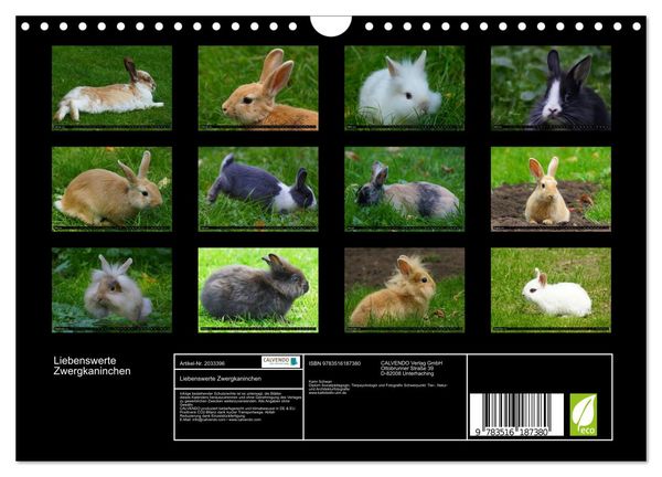 Produktbild: Liebenswerte Zwergkaninchen (Wandkalender 2026 DIN A4 quer), CALVENDO Monatskalender