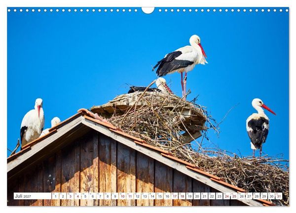 Produktbild: &Uuml;berlingen - Oase am Bodensee (Wandkalender 2027 DIN A3 quer), CALVENDO Monatskalender