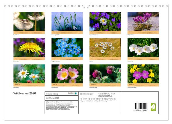 Produktbild: Wildblumen 2026 (Wandkalender 2026 DIN A3 quer), CALVENDO Monatskalender
