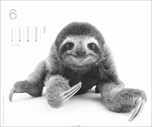 Produktbild: Black & White Animals 2027