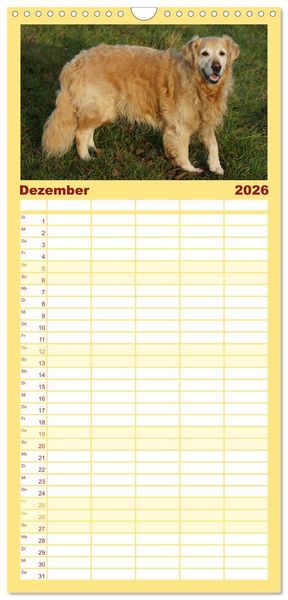 Produktbild: Familienplaner 2026 - Golden Retriever Power mit 5 Spalten (Wandkalender, 21 x 45 cm) CALVENDO