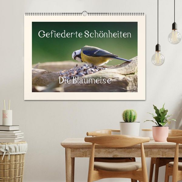 Produktbild: Gefiederte Sch&ouml;nheiten - Die Blaumeise (Wandkalender 2026 DIN A2 quer), CALVENDO Monatskalender