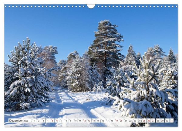 Produktbild: Die L&uuml;neburger Heide - Ausflugsziel im Norden (Wandkalender 2026 DIN A3 quer), CALVENDO Monatskalender