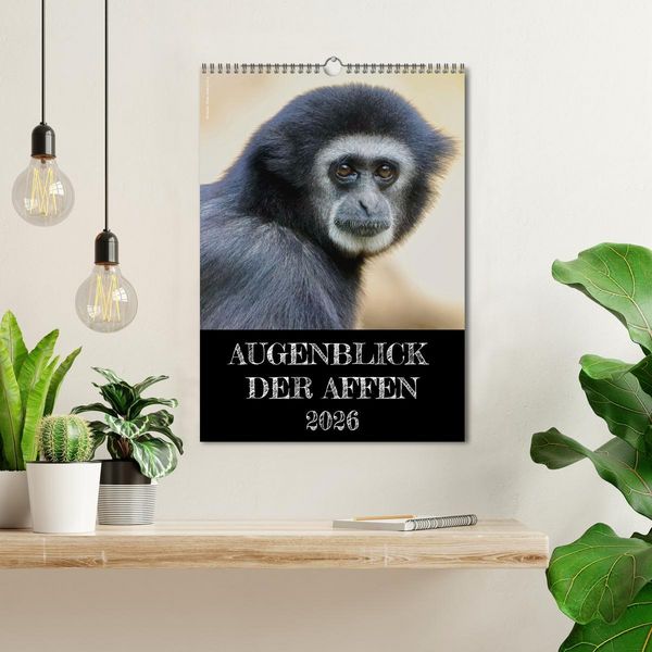 Produktbild: Augenblick der Affen 2026 (Wandkalender 2026 DIN A3 hoch), CALVENDO Monatskalender