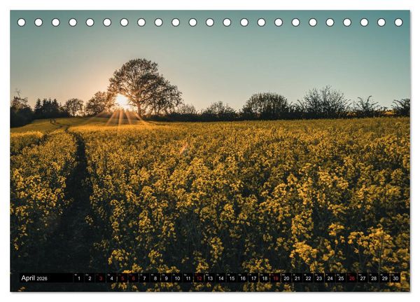 Produktbild: Das M&uuml;nsterland - Meine Impressionen (Tischkalender 2026 DIN A5 quer), CALVENDO Monatskalender