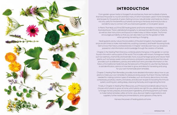 Produktbild: Plants That Heal Hb