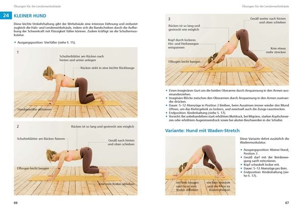 Produktbild: Yoga f&uuml;r Kletterer und Bergsportler
