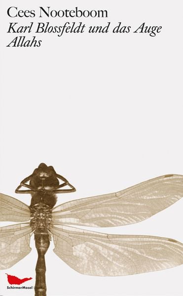 Produktbild: Karl Blossfeldt und das Auge Allahs