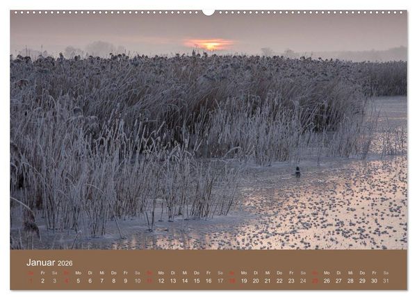 Produktbild: Der Federsee - Vogelparadies in Oberschwaben (hochwertiger Premium Wandkalender 2026 DIN A2 quer), Kunstdruck in Hochglanz