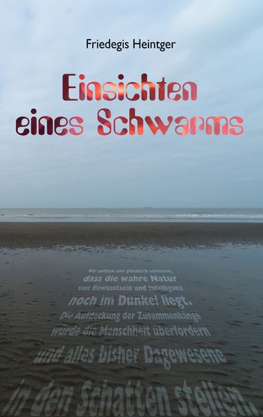 Einsichten eines Schwarms, Taschenbuch von Friedegis Heintger, BoD – Books on Demand, 9783738620191